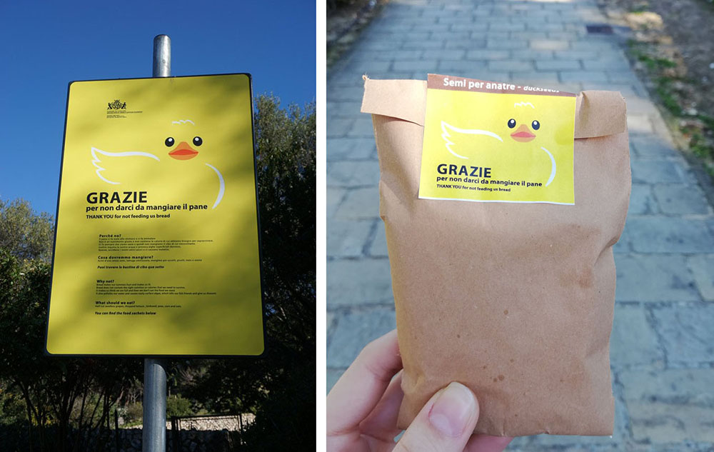Una bella iniziativa di un'area protetta a Cagliari: al parco di Monte Urpinu, per impedire ai visitatori di dare il pane agli animali perché è pericoloso, ci sono le cassettine contenenti il cibo adatto per le paperelle e tutti lo possono prendere gratuitamente